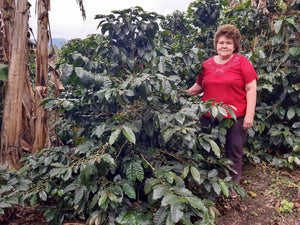 Colombia - Blanca Rubys Lopez Pink Bourbon / Omni Roast