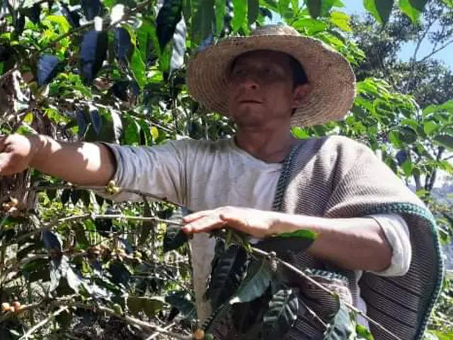 Ecuador - Los Romerillos / Omni Roast