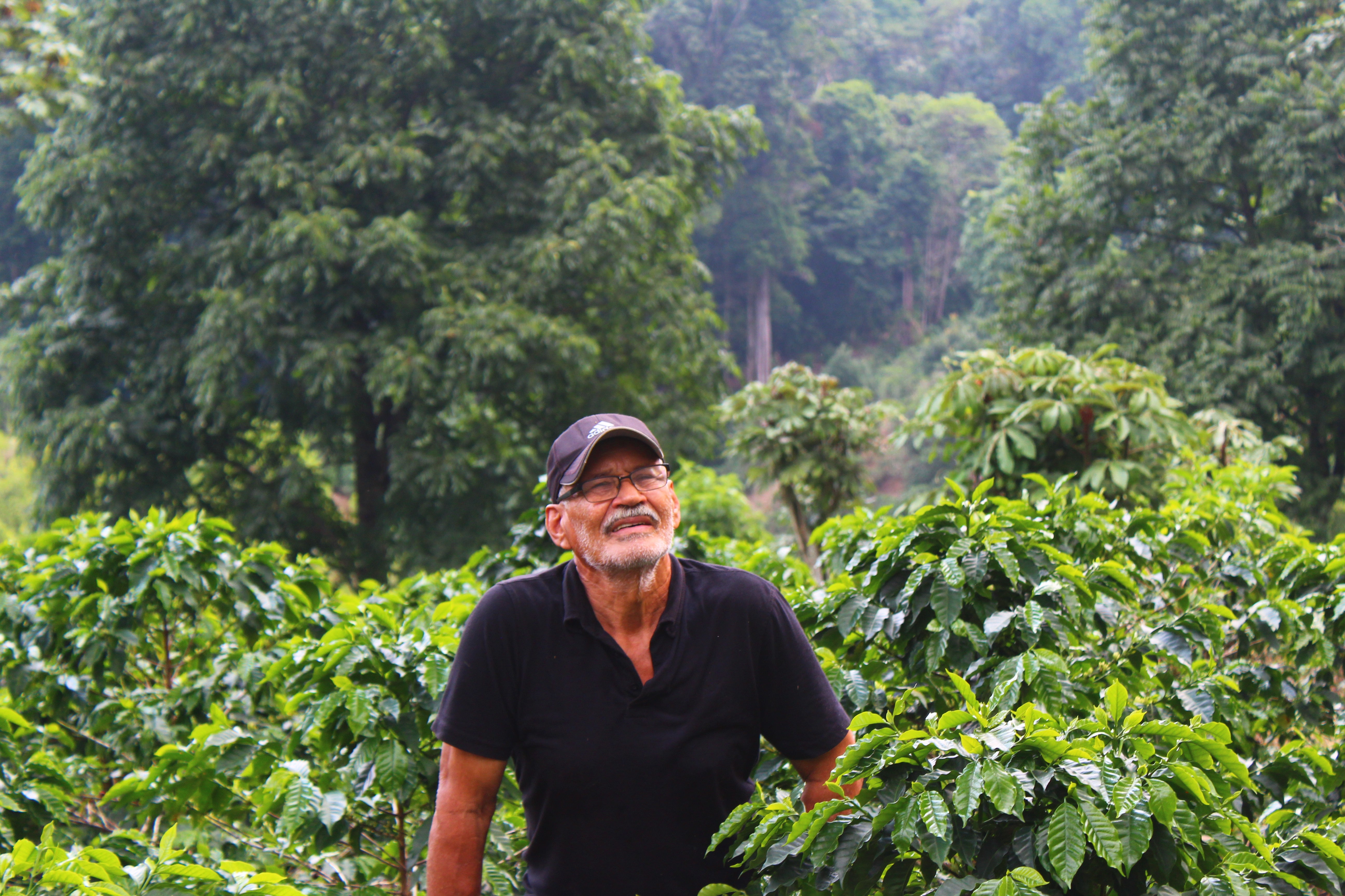 Honduras - Jose Andres Castillo Mejia / Omni Roast