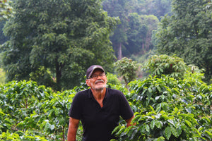 Honduras - Jose Andres Castillo Mejia / Omni Roast