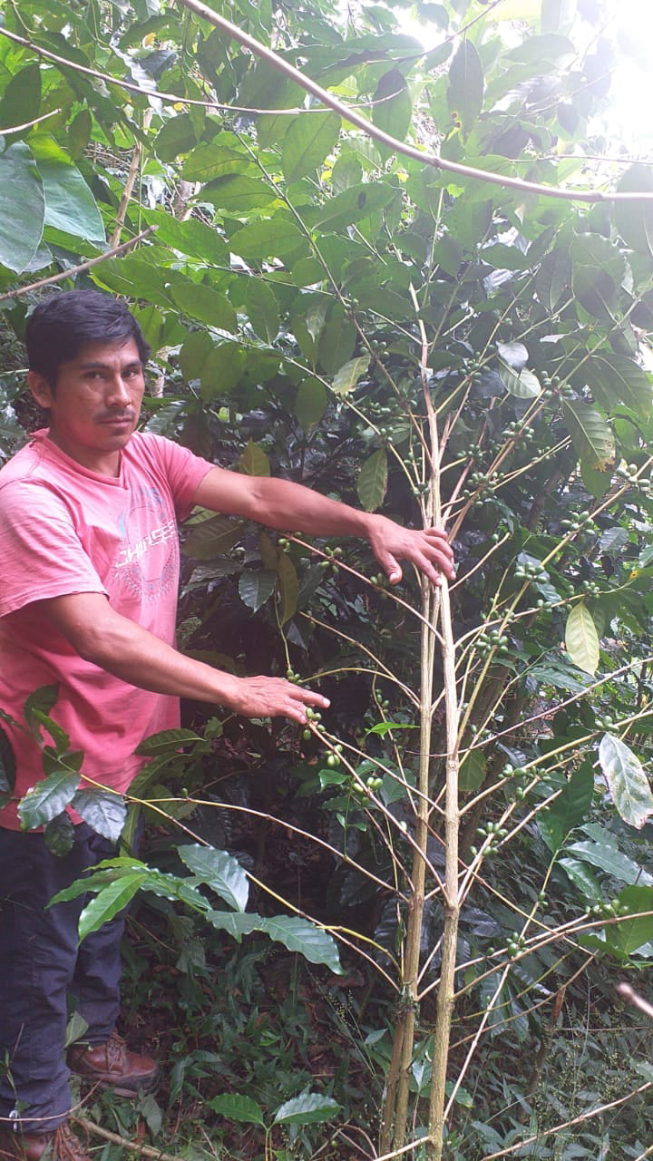 Peru -Ruther Quispe Gesha / Omni Roast
