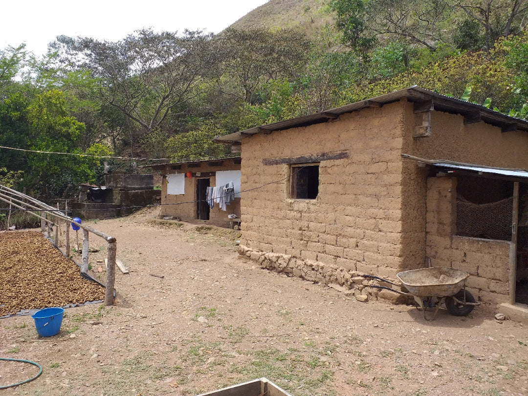 Peru -Ruther Quispe Gesha / Omni Roast