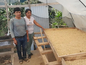 Peru - Espiritu Wari / Omni Roast