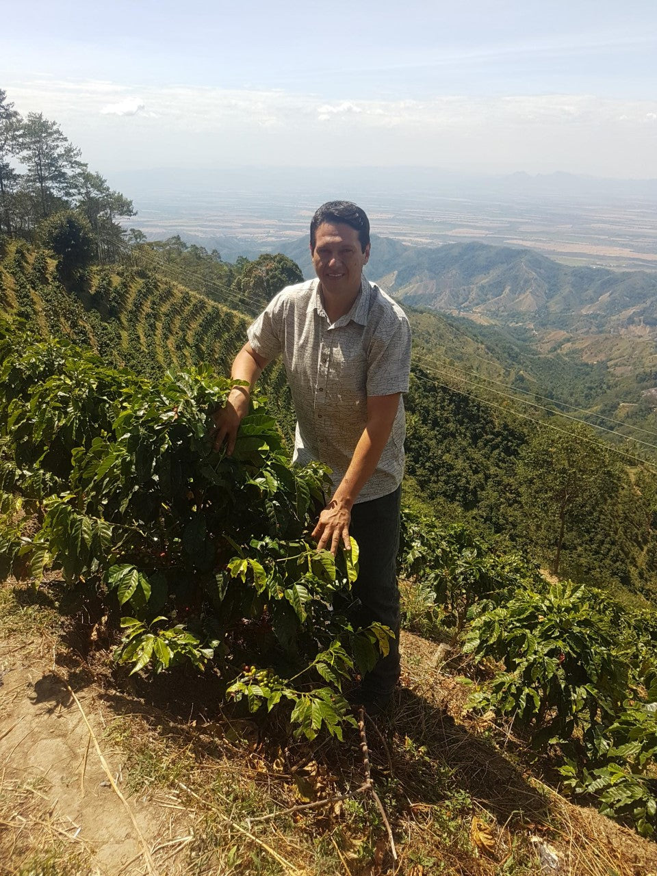 Colombia - Milton Monroy Natural Gesha / Omni Roast